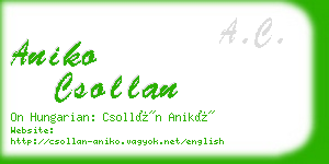 aniko csollan business card